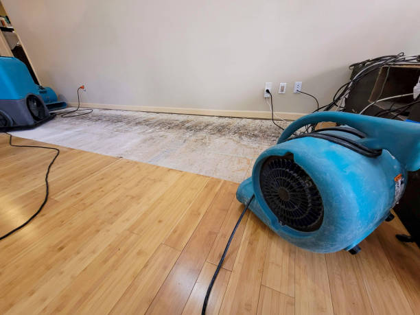 Professional Sewage Cleanup technician working in Jelm, WY
